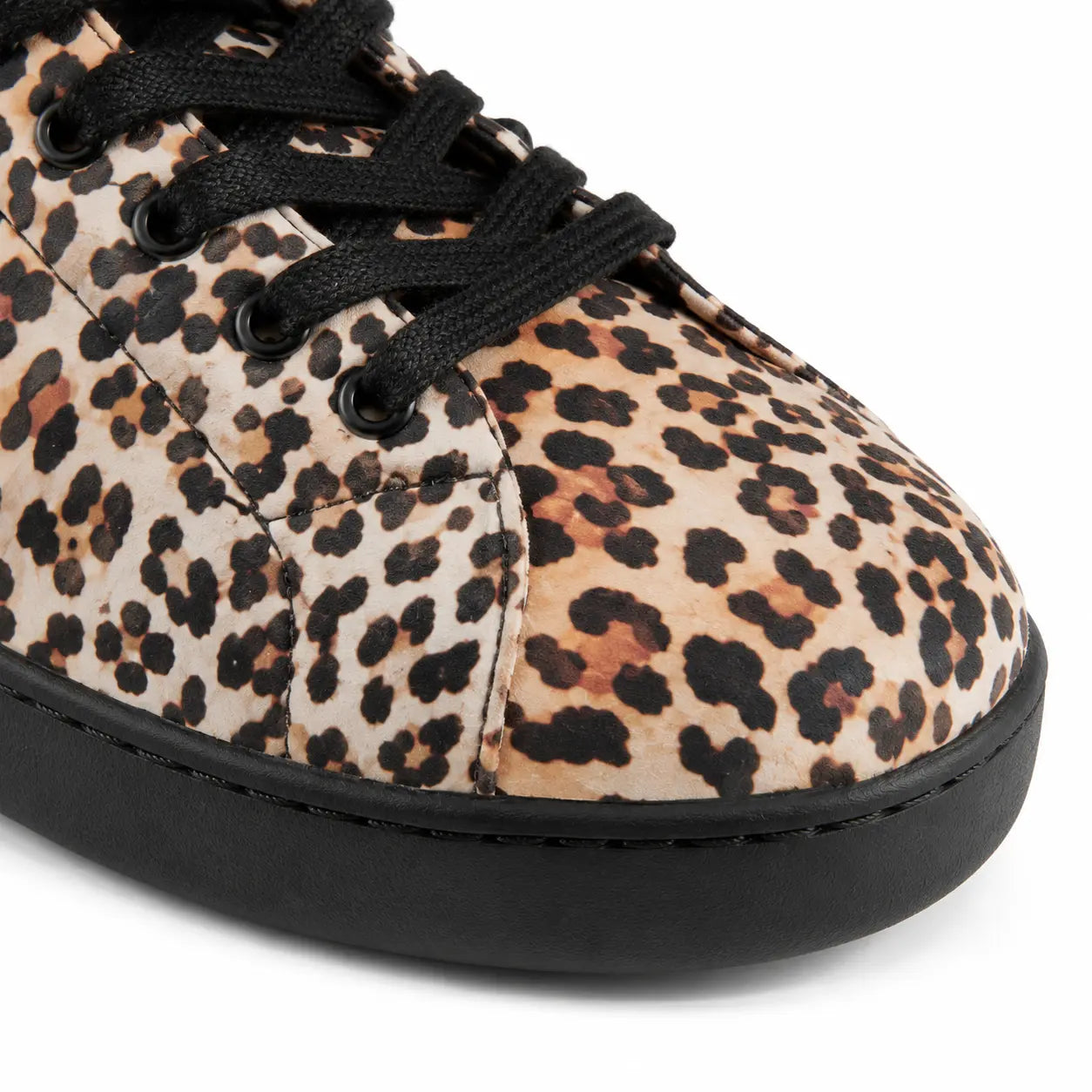 chaussures danse kizomba groove leopard black